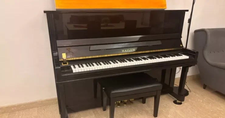 Kirayə qaldığı evdən piano oğurladı, tutuldu