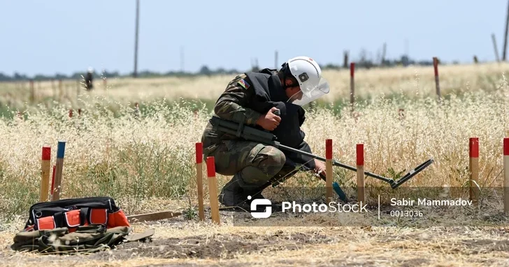 Глава ARMAC призвала к укреплению регионального сотрудничества в противоминной деятельности