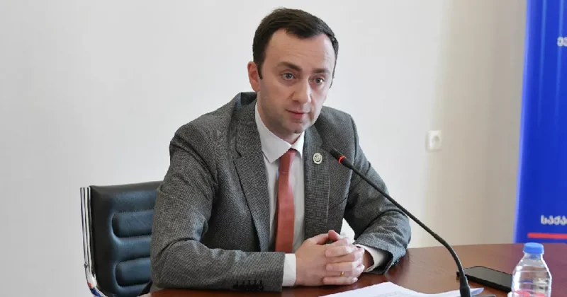 Махашвили: Брюссель услышал исландцев, но не грузин