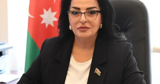 Azərbaycanın yaratdığı yeni reallıqlar Cənubi Qafqazın gələcək inkişafı üçün geniş perspektivlər açır