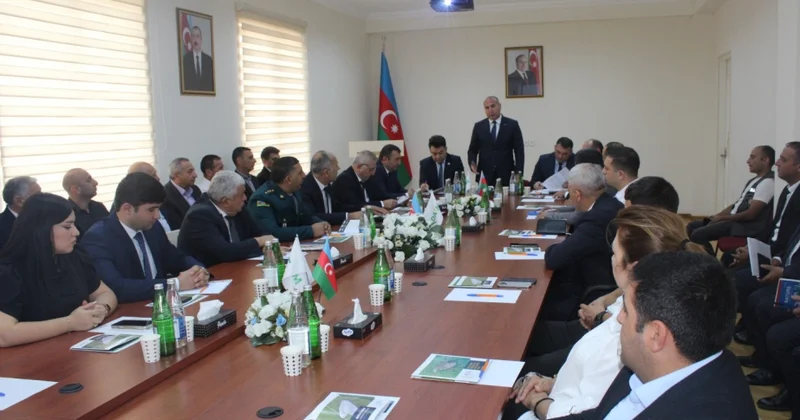 Qəhvəyi mərmər bağacığının yayılmasının qarşısının alınması istiqamətində tədbirlər davam etdirilir