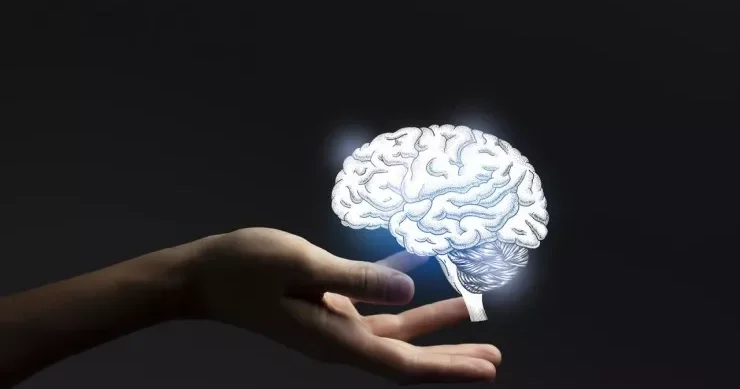 Beynimizin nə qədərindən istifadə edirik? Maraqlı açıqlama