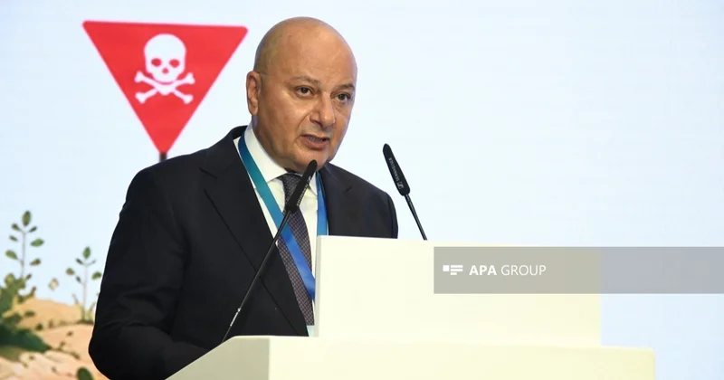 ANAMA: Азербайджан сам профинансировал 96% расходов на разминирование