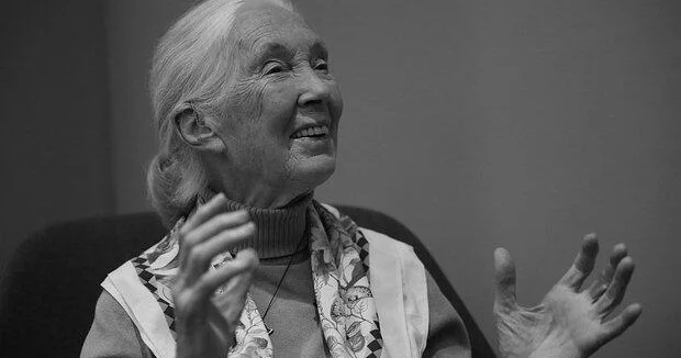Умерла британский приматолог Джейн Гудолл