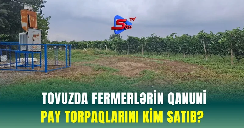 Tovuzda fermerlərin qanuni pay torpaqlarını kim satıb ŞİKAYƏT