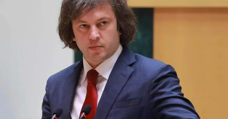 İrakli Kobaxidze: “Bəzi QHT lər açıq şəkildə inqilabi proseslərdə iştirak edirlər”