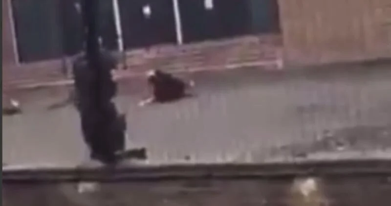 Мужчина напал с ножом на людей в Великобритании ВИДЕО