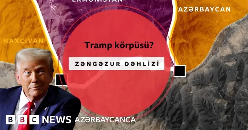 Trampın sülh planlarının pərdəarxası Britaniyalı politoloq gözdən qaçan məqamlara diqqət çəkdi
