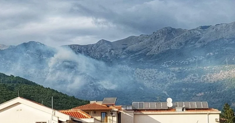 Monteneqronun Budva şəhəri ətrafında meşə yanğını başlayıb