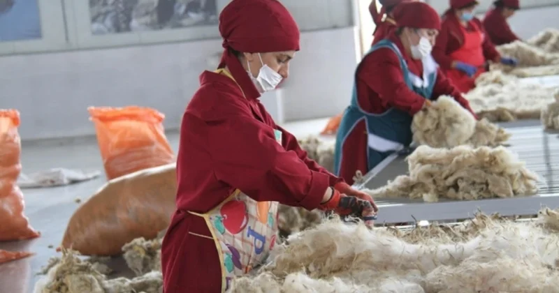 Yevlax Yun Zavodunun əmlakı özgəninkiləşdiriləcək