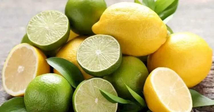 Limon xərçəng əleyhinə ən yaxşı kimyaterapiyadır