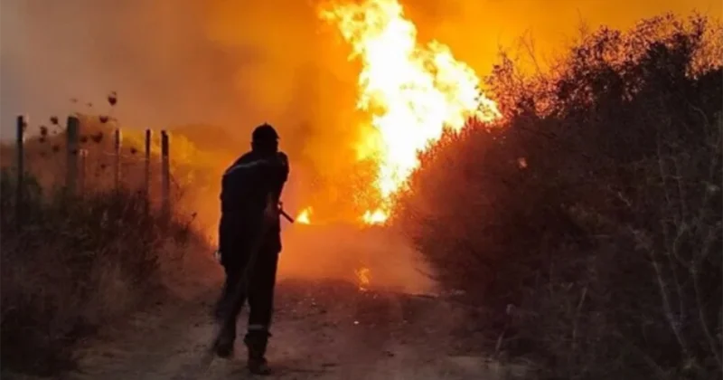 Meşə yanğınlarına görə ölüm hökmünü bərpa edirlər