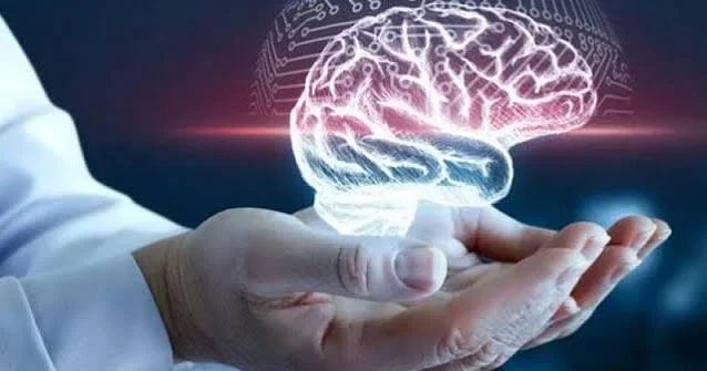 Beyninizi cavan saxlamağın yolları
