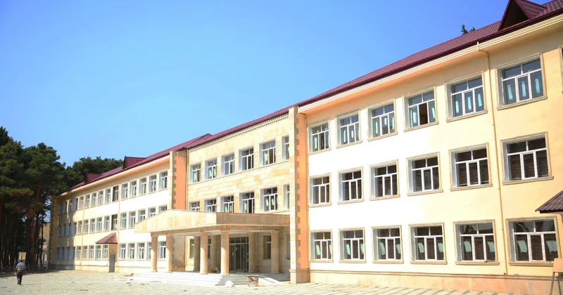 Şəmkirdə məktəbdə nöqsanlar aşkarlanıb, direktor işdən çıxarılıb