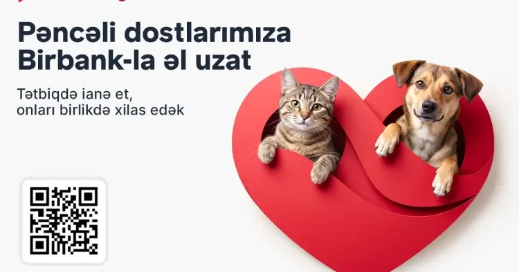 “Pəncəli Ürəklər” aksiyasına qoşularaq sevgimizi dəstəyə çevirək