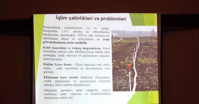 Daşkəsəndə “Neftçilər yeni dövrün yaşıl enerji mühəndisləri kimi” layihəsi çərçivəsində tədbir keçirilib