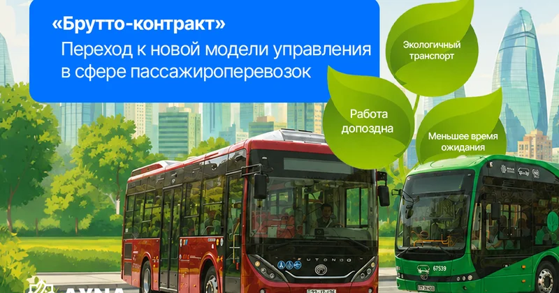 Зачем государству платить за пустые рейсы? Главный секрет новой системы