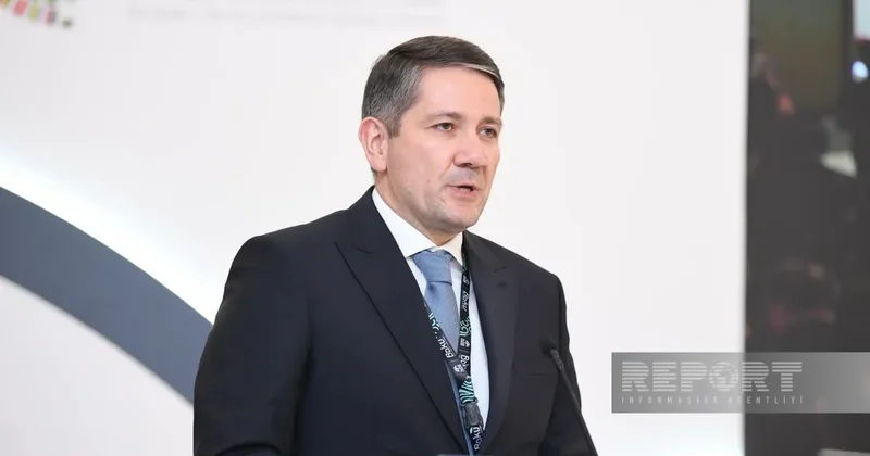 Первый заместитель министра финансов избран членом Наблюдательного совета ABB
