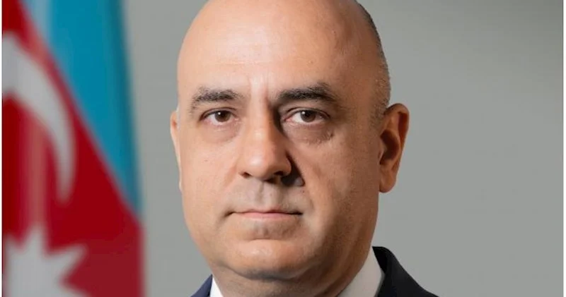 Mərkəzi Banka yeni baş direktor təyinatı oldu