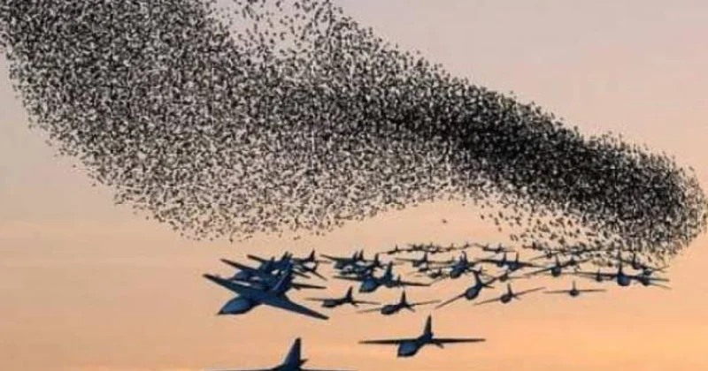 Турция подняла миллион беспилотников. Греция подняла тревогу главная тема