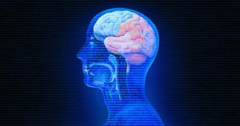 Beyinə zərər verən qidalar açıqlandı