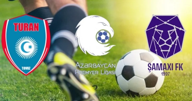 Boz qurdlar şirlər ə qarşı heyətlər