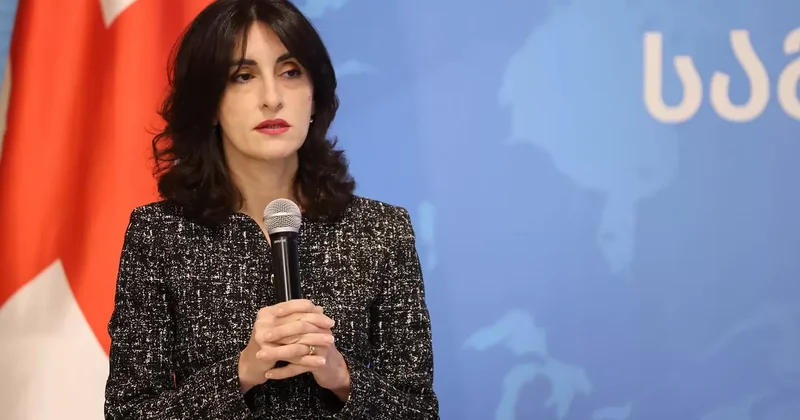 Бочоришвили: Евронест утратил актуальность для Грузии