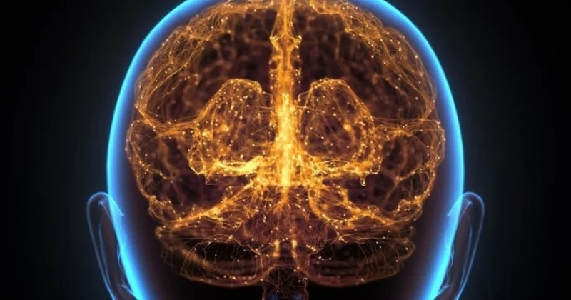 Alimlər psixopatlarla normal insanlar arasında əsas bioloji fərqi aşkarlayıblar