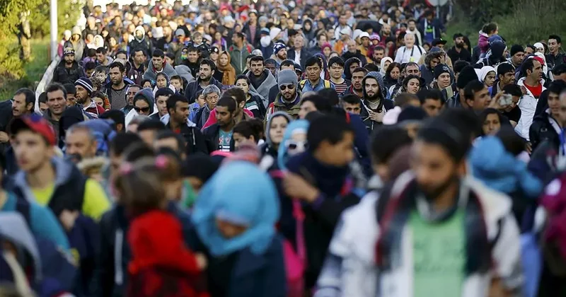 Число заявлений на убежище в ФРГ упало почти вдвое за год