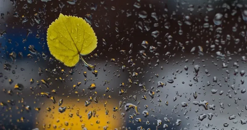 Bakıda və bəzi rayonlarda yağış yağacaq PROQNOZ