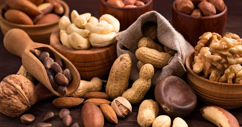 Qoz fındıq bizi ölümdən qoruyurmuş ARAŞDIRMA