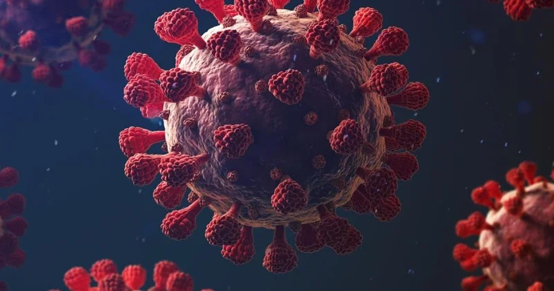 COVID 19 qlobal miqyasda yenidən şiddətlənib