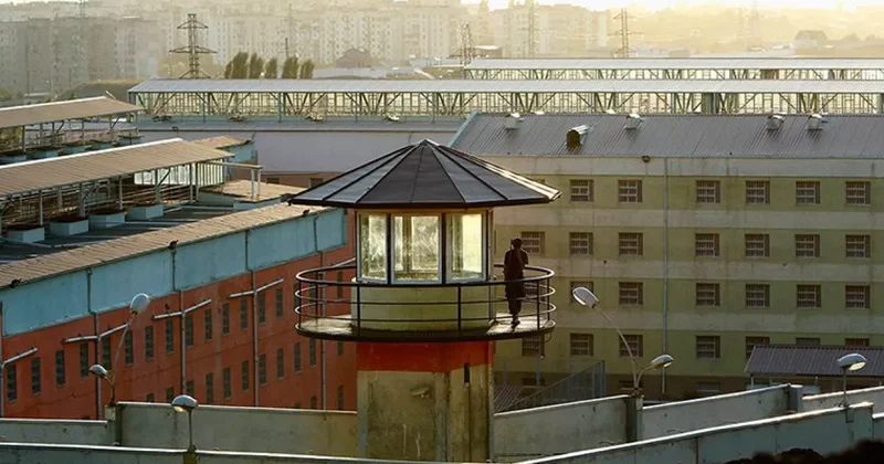 В Грузии растет число заключённых, среди них 1,4 тысячи иностранцев данные статистики