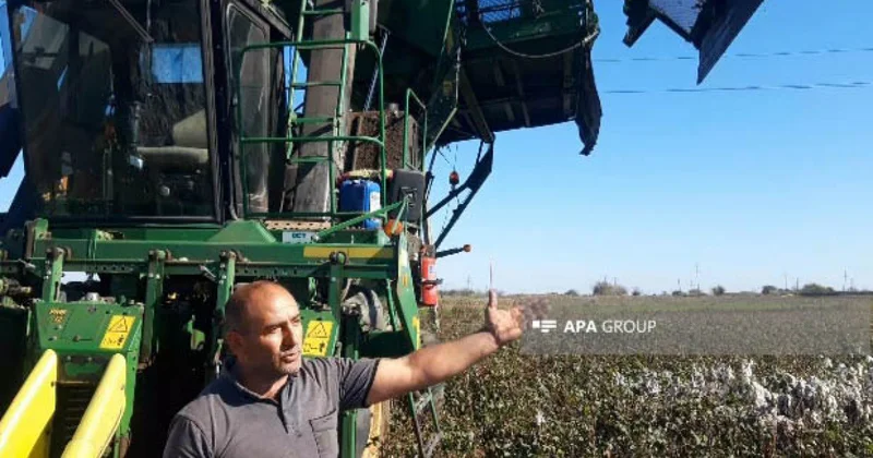 Biləsuvarda pambıq sahəsində yanğın baş verib FOTO