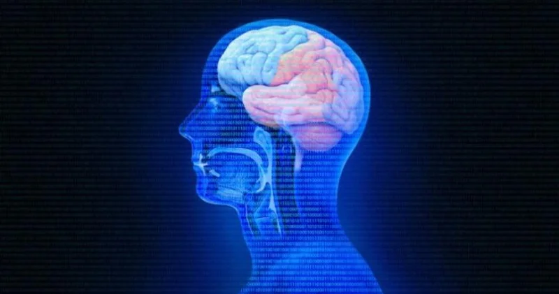 Beyinə zərər verən qidalar açıqlandı