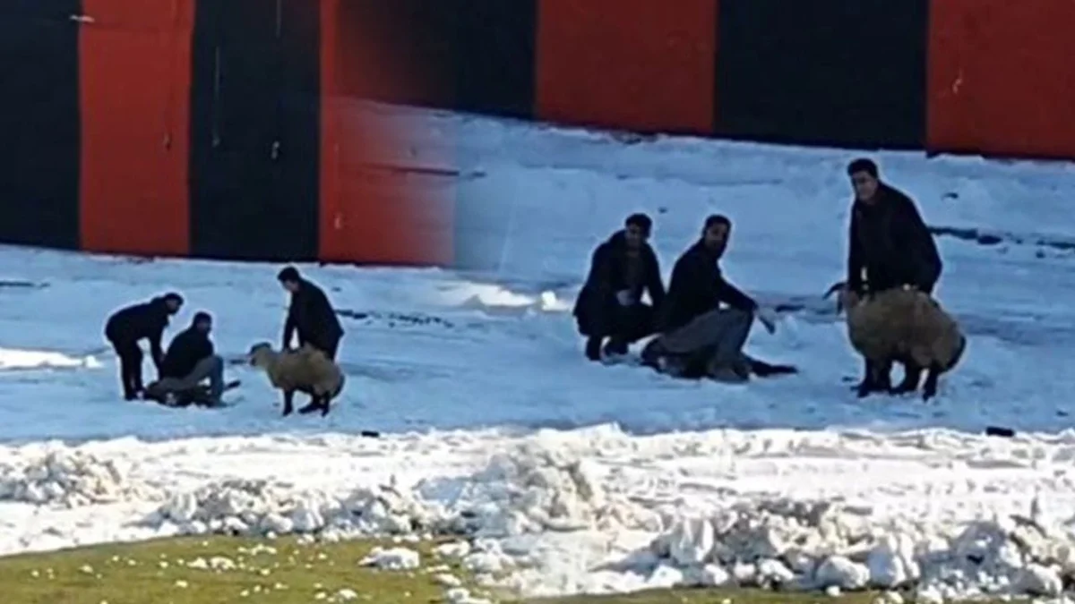 Türkiyədə bunu da gördük! Oyun gedəgedə qurban kəsdilər