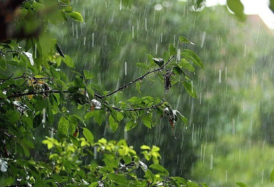 Yağıntılı havanın nə vaxta kimi davam edəcək?