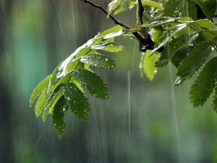 Yağıntılı hava şəraitinin dekabrın 4ü səhərədək davam edəcəyi gözlənilir