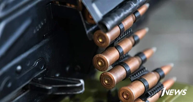 В Германии похитили 20 тысяч патронов