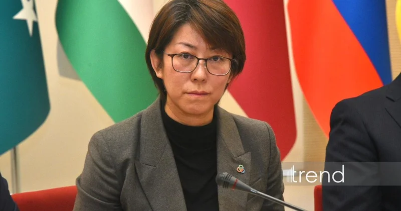 Вопросы зеленой энергетики становятся ключевым аспектом для развития СВМДА Чжан Лин