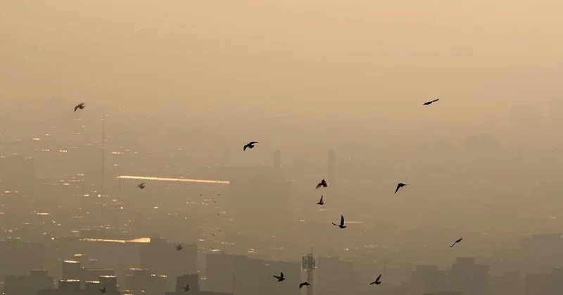 Şərqi Azərbaycan əyalətinin dörd rayonunda hava çirkliliyinə görə məktəblər bağlanıb