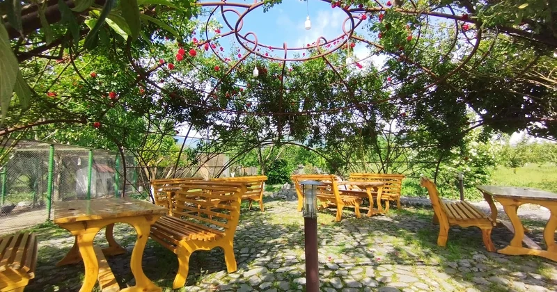 8 nəfərlə yaradılan 8 hektarlıq ekopark