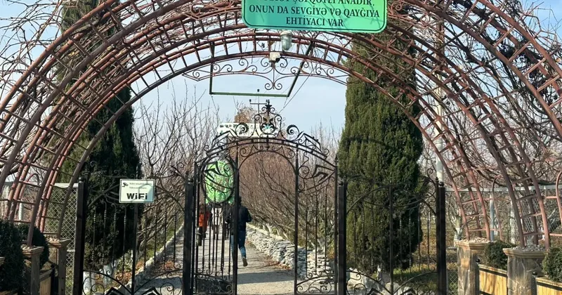 Şəkiyə mediatur təşkil olunub FOTOLAR