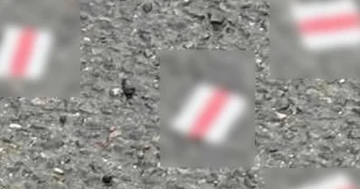 Litva və Belarus bir birini ittiham edib