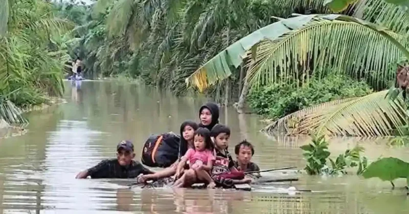 İndoneziyada meşələrin qırılması dağıdıcı daşqınlara səbəb olub