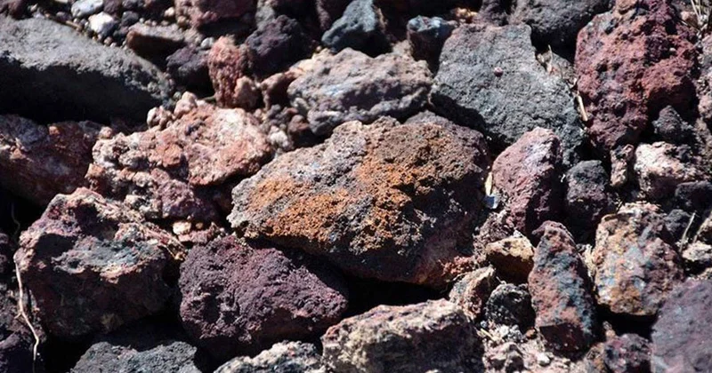 Yeni tədarük strategiyası necə olacaq?