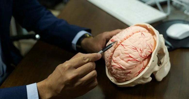 Beyin neçə yaşına qədər yeniyetməlik dövründə qalır?