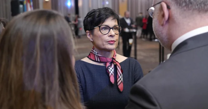 Aİ İrəvanda seçkilərə Rusiya müdaxiləsindən narahatdır