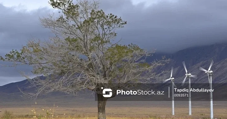 В Азербайджане ожидается сильный ветер Предупреждение синоптиков