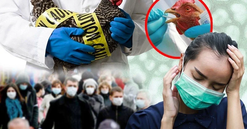 Bu dəfə pandemiyanın qarşısını almaq asan olacaq Mərdan Əliyev